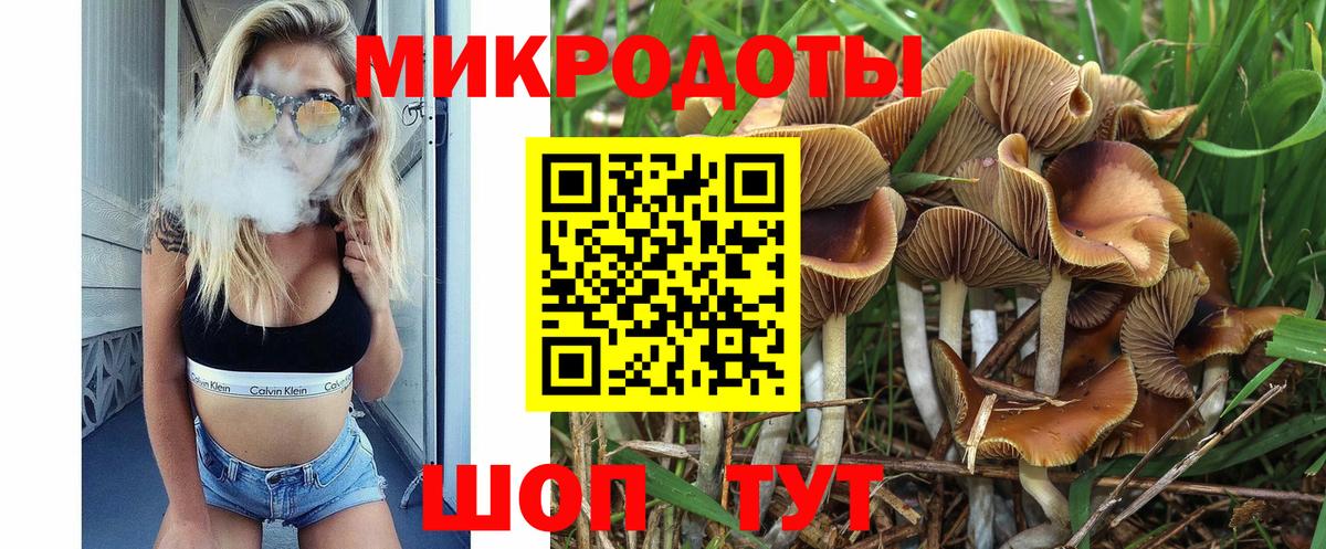 Псилоцибиновые грибы Cubensis Амурск