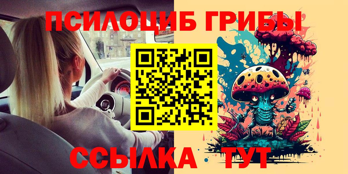 Галлюциногенные грибы Psilocybine cubensis  Вход с VPN  Амурск 